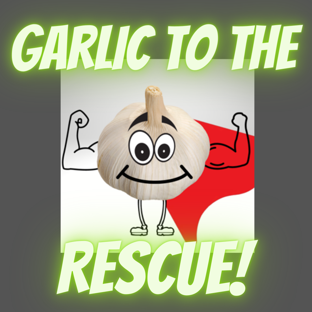 Allicin - Garlic's SuperPower. Use the Garlic Chop to mince garlic for the full effect..