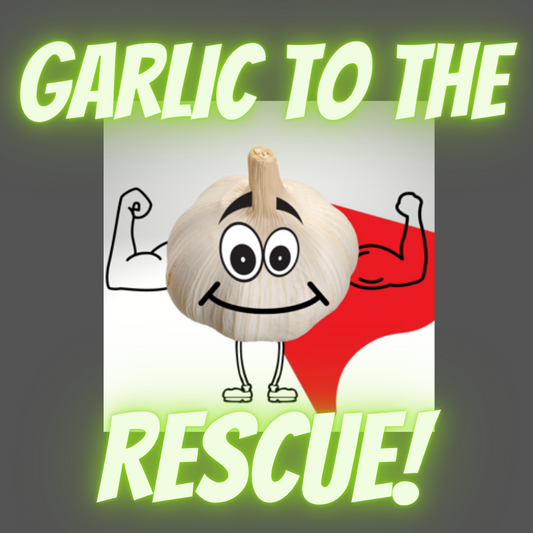 Allicin - Garlic's SuperPower. Use the Garlic Chop to mince garlic for the full effect..