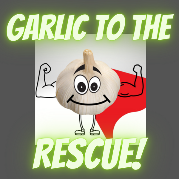 How To Reap the Health Benefits of Garlic