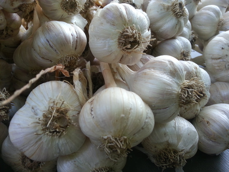 Is Cooking with Lots of Garlic Really Safe?